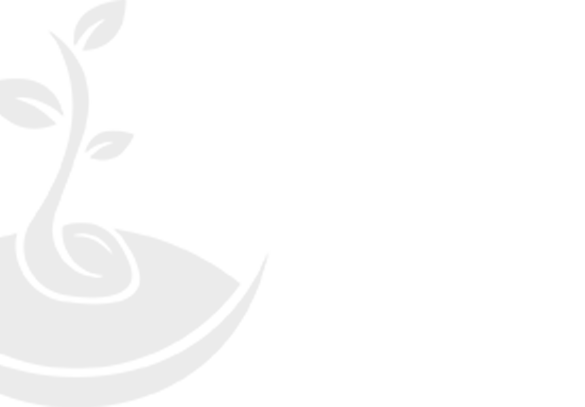 ООО Анналанд ООО Annaland